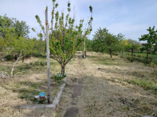 Продам земельный участок 10 соток в Корсунцах (Куяльницкий лиман)