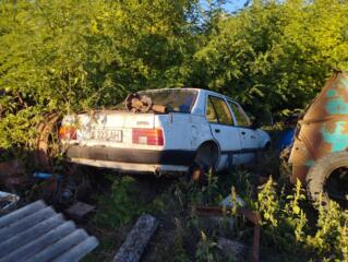 Опель Аскона целиком на запчасти