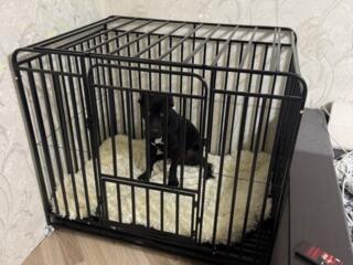 Продам клетку для собаки средней и крупной породы