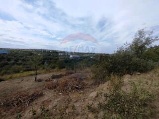 Oportunitate Excelenta în Singera, Extravilan – Lot de Pomicol -6 Ari