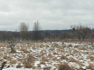 продаж ділянка сільськогосподарського призначення Бориспільський, Сошн