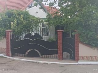 Изготовление и реставрация ворот, дверей. Снятие краски и покраска.