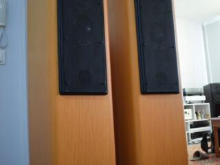 T+A Criterion TB 160 (трансмиссионная линия)