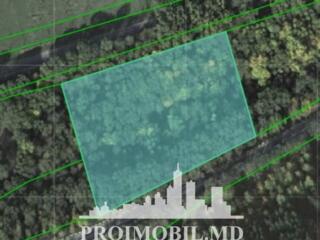 Spre vînzare se oferă 1 ha de pădure, situat în r. Criuleni com. ...