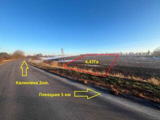 продаж ділянка сільськогосподарського призначення Фастівський, Данилів