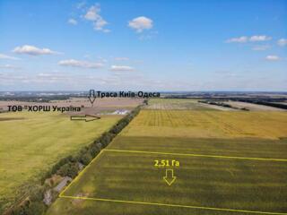 продаж ділянка сільськогосподарського призначення Фастівський, Велика 