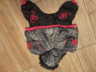 Комбинезоны для маленькой собачки, зимний и демисезон