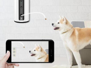 Умная кормушка с камерой видеонаблюдения для домашних животных