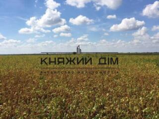 Продается участок земли в с. Красная Слободка, всего 60 соток ...