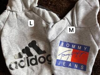 Одежда для животных