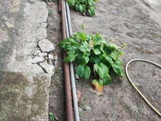 Металл разный