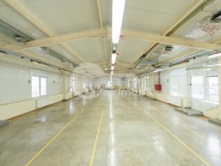 Se oferă spre chirie  spațiu comercial / depozit  amplasat ...