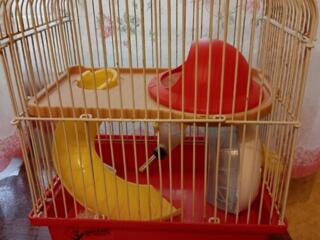 Продам клетку для мелких грызунов