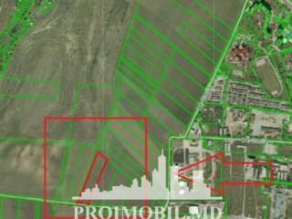 Spre vînzare se oferă teren agricol, situat încom. ...