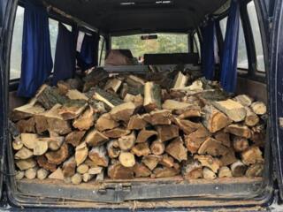 Продам дрова. Разные. Цены антикризисные.