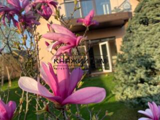 Будинок з виходом на Дніпро Продається сучасний теплий будинок з ...