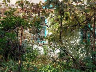 Дом у моря с участком