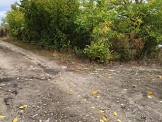 Продается участок 0,04 ha на территории I. P. "Sidev"