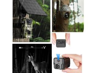 Camere de pădure, фотоловушка, фото ловушка, фотоловушки, фото ловушки