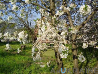 Участок в  БЕЛЯЕВКЕ