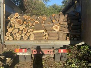 Дрова твердых пород