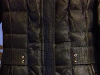 Palton femei iarna 500 lei.