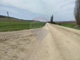 Teren Agricol Extravilan - 350  Ari în or. Ialoveni, Carbuna