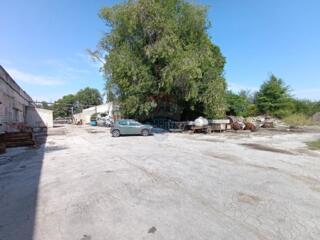 Investiție Industrială de Excepție – Hală de Producție și Depozitare c