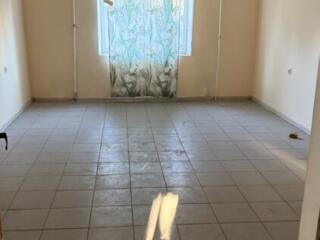 Центр, Орхидея, помещение цокольного этажа