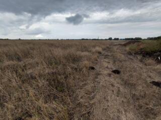 Продаётся участок в Фонтанке правильной формы в престижном районе. ...