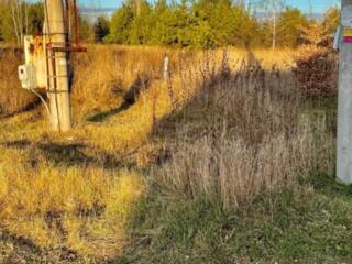 продаж ділянка під житлову забудову Бучанський, Мила, 19000 $