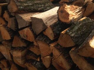 Продам дрова. 750р