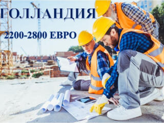 Горячее предложение это месяца — работа в Нидерландах.