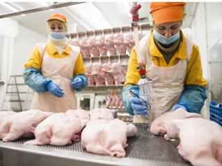 Венгрия. Контракт до Нового года! Оплата дороги за счет работодателя!