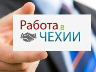 Работа для мужчин женщин и семейных пар в Чехии