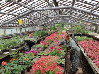 Работа в Германии по болгарскому паспорту. Теплица с цветами.
