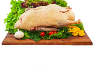 Выезд 19.10.2025!