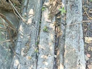 Vind stilpi din beton. Lungimea de 3 m