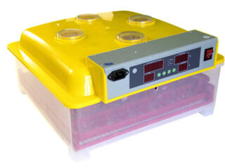 Инкубатор для яиц автоматический И-36