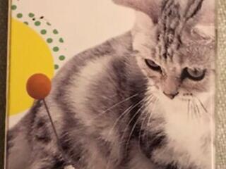 Интерактивные игрушки для котиков.