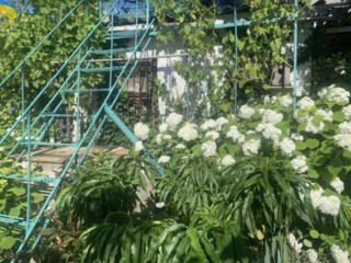 Часть дома в «Золотом треугольнике» Одессы!