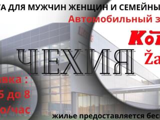 Работа для мужчин женщин и семейных пар в Чехии