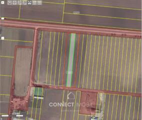 Com. Băcioi, Chișinău