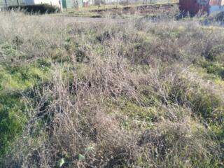 В продаже участок правильной формы в с. Александровка. Участок ...