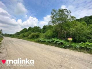 продаж ділянка сільськогосподарського призначення Сколівський, Верхнє 