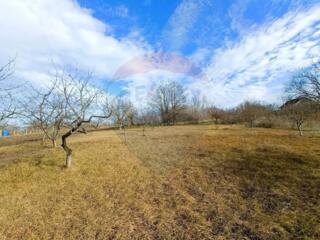 Oportunitate Unică în Trușeni – Lot de Pământ pentru Construcții