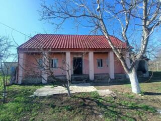 Casă de Vânzare în Zîmbreni – Liniște și Natură!