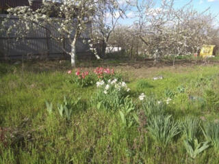 Продам участок с.Светлое новые дачи ул. Вишневая, участок 6 соток ...