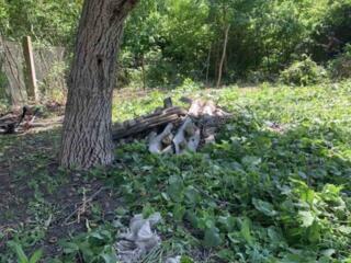 Дом на участке 5 соток в Аркадии