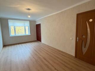 1-комнатная квартира, Центр, Бируинца, Сынжерей